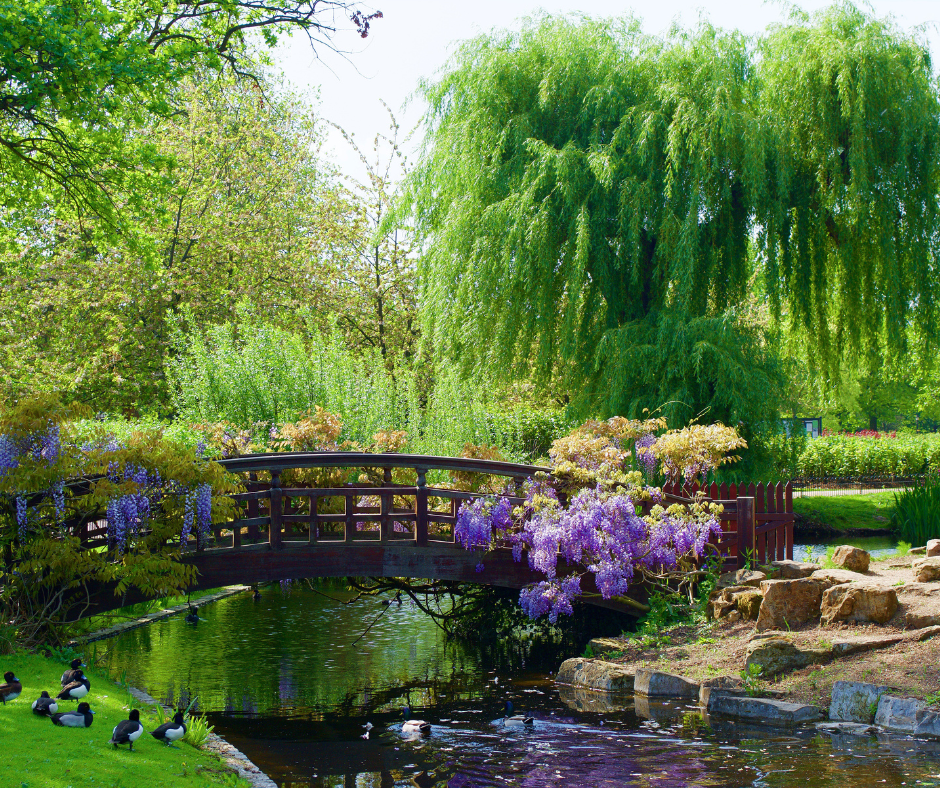 Queen Mary's Garden