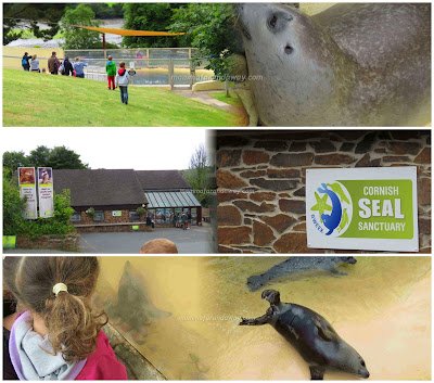 Cornish Seal Sanctuary