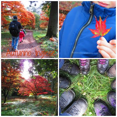 Foliage in Inghilterra