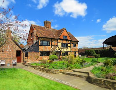 Gita nella scuola inglese