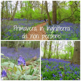 Primavera Inghilterra
