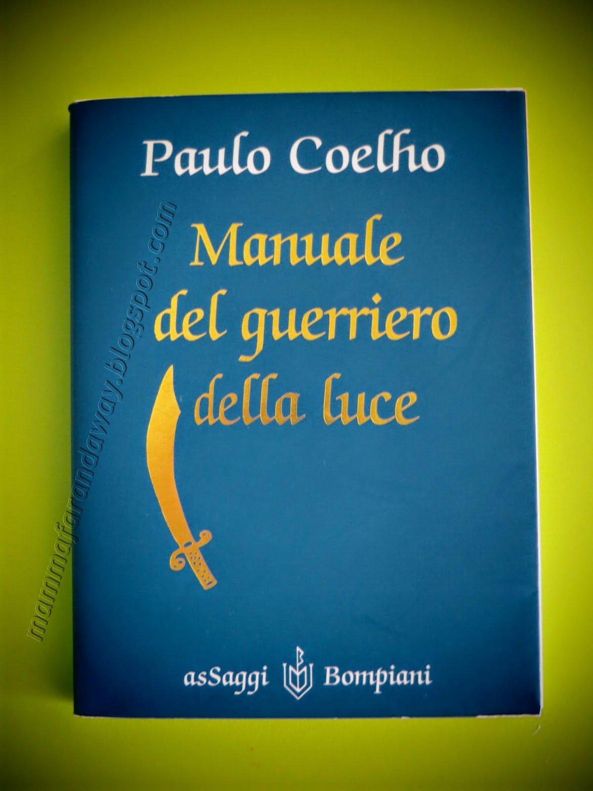 guerriero della luce